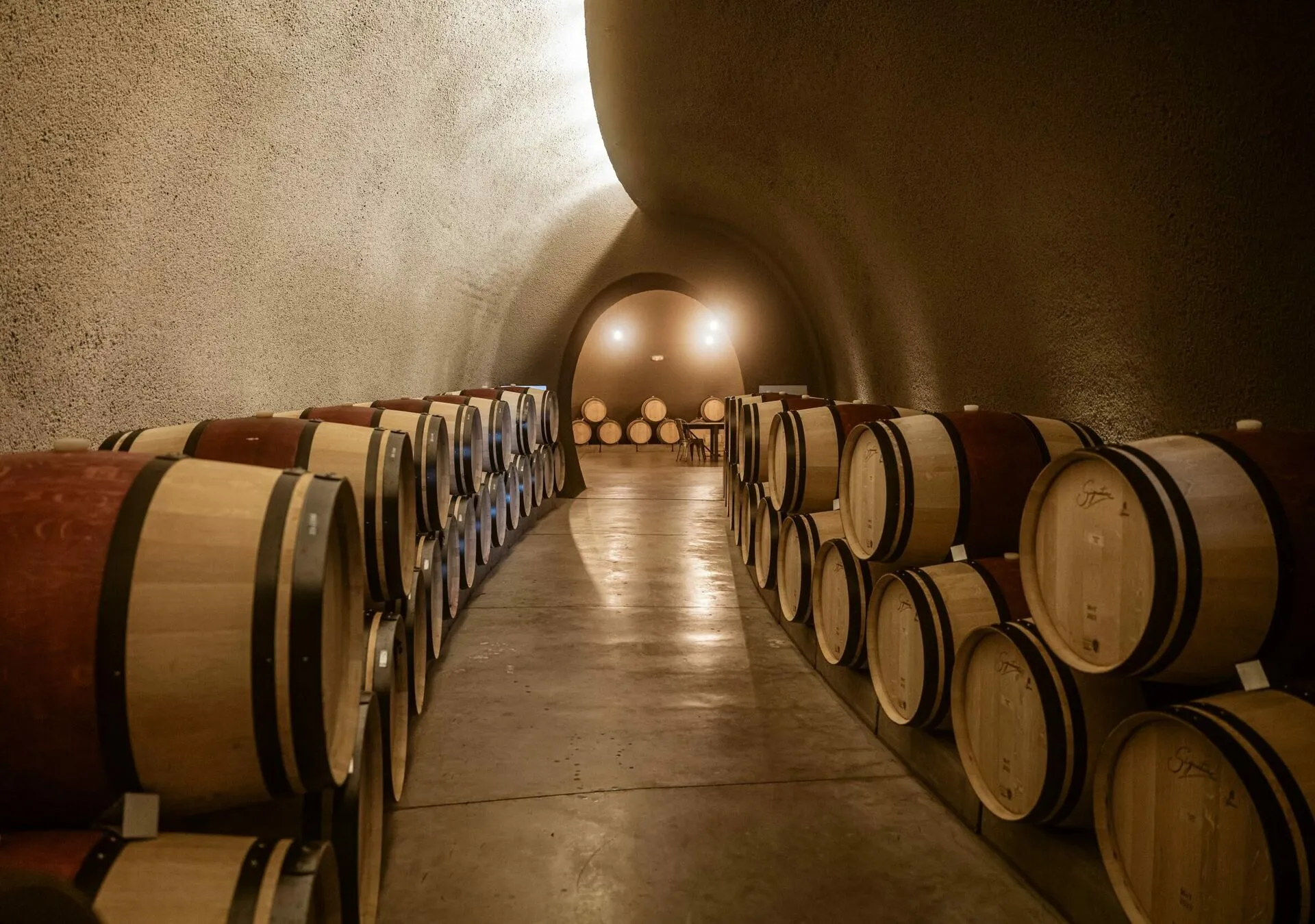 Barrel cellar at golden hour