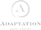 Adaptation